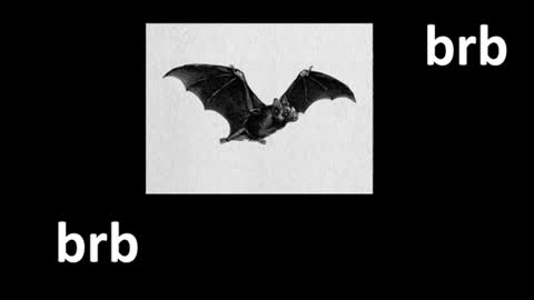 meow online show from 06.29.26