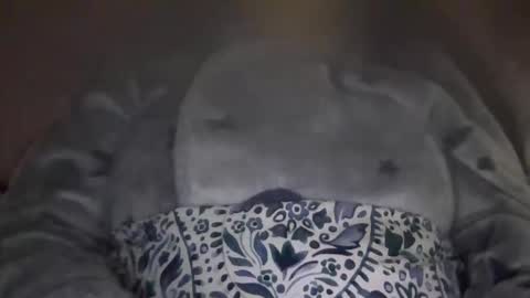 kissandtell1357 online show from 10.24.25