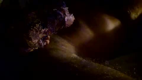 Kitkat loco online show from 11.03.25