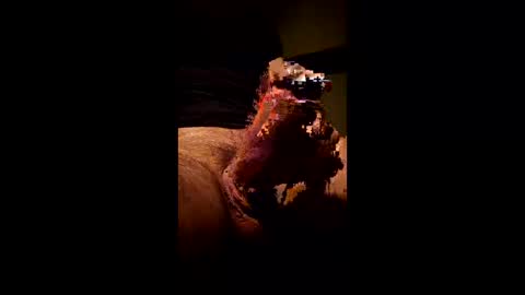 Kitkat loco online show from 01.11.26