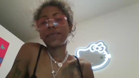 kitten404 online show from 03.24.26