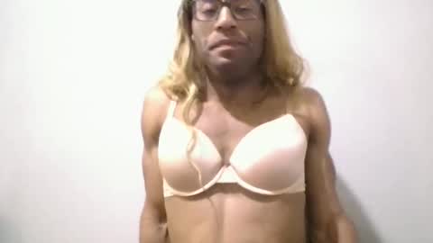 bambi online show from 03.11.26