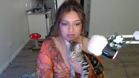 kittengonewild online show from 05.24.26