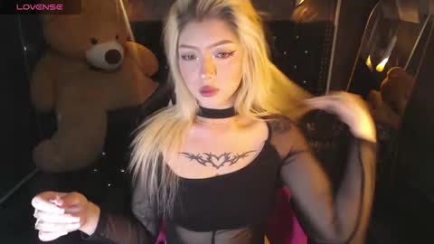 kitty_fox_b online show from 03.12.26