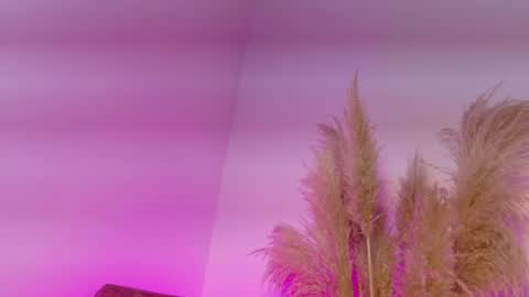 Kitty Hill online show from 01.12.26