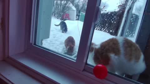 Snapshot of kiveuxmakeu chatting on 12.27.24 kiveuxmakeu online show from 12.27.24