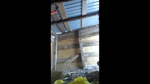 klara_belle online show from 02.03.26