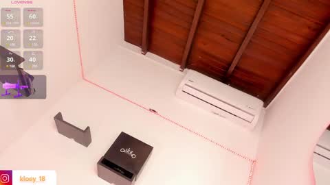 Snapshot of kloey_hoot chatting on 12.31.24 Kloey online show from 12.31.24