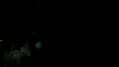 Snapshot of knight_rider118 chatting on 03.11.25 knight_rider118 online show from 03.11.25