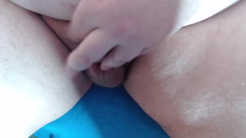 Knox Rex online show from 02.11.25