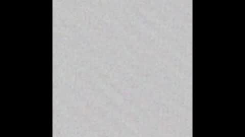 Snapshot of komi93 chatting on 02.14.26 komi93 online show from 02.14.26