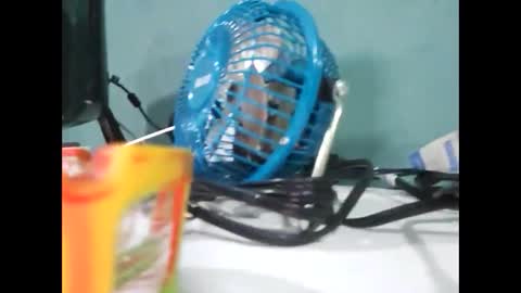 Koto Bombon online show from 12.31.24