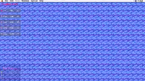 Krypto hethey online show from 07.25.26