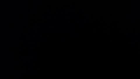 Snapshot of kvicali chatting on 12.19.24 kvicali online show from 12.19.24