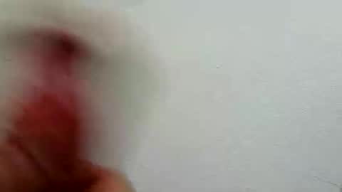 Snapshot of l0cean chatting on 02.26.26 l0cean online show from 02.26.26