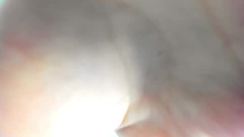 Snapshot of l1l_lola chatting on 11.15.25 Ameli online show from 11.15.25