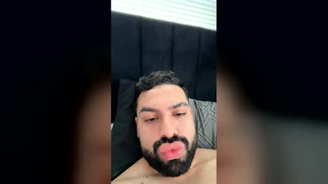 labrador16 online show from 03.15.26