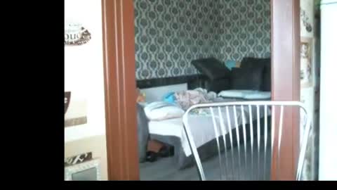 Snapshot of lady_cute_cat chatting on 06.23.26 lady cute cat29 online show from 06.23.26