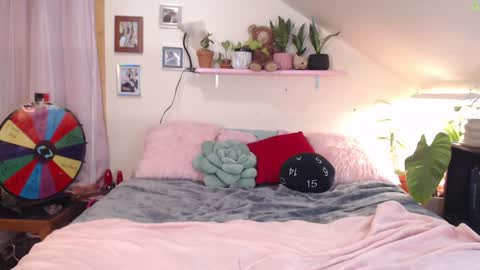 Snapshot of ladyboyhomemaker chatting on 01.25.25 ladyboyhomemaker online show from 01.25.25