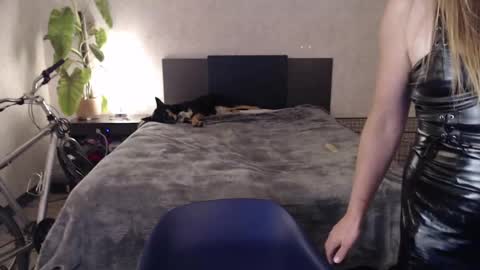 Snapshot of ladyboyhomemaker chatting on 09.20.25 ladyboyhomemaker online show from 09.20.25