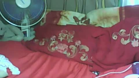 LadyXSnakes online show from 01.21.25