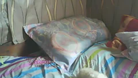 LadyXSnakes online show from 02.19.25