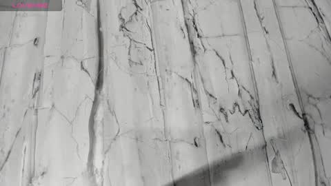 laiily bell online show from 02.24.26