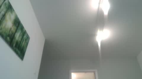 Snapshot of lambiants chatting on 11.05.25 lambiants online show from 11.05.25