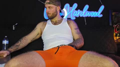 LANCE online show from 12.08.24