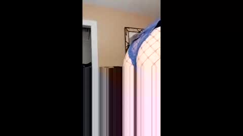 langederek2 online show from 02.14.26