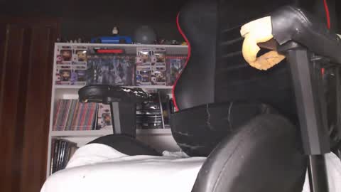 Snapshot of lapijaarg chatting on 02.01.26 LapijARG online show from 02.01.26