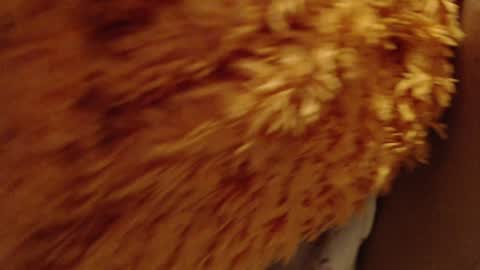 laralhotr online show from 12.26.24