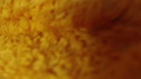 laralhotr online show from 12.27.24