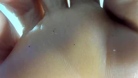 Afrodita online show from 11.07.25