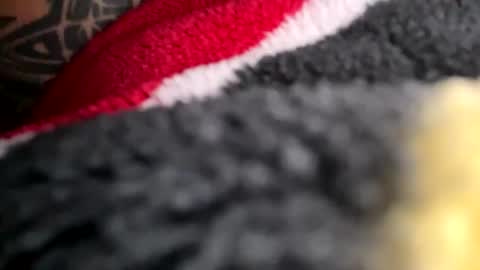 Snapshot of latn_73 chatting on 11.16.25 Mexakin online show from 11.16.25