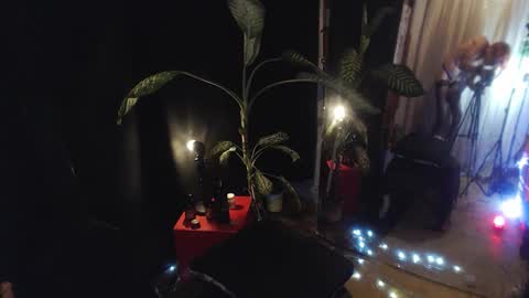 Laye19 online show from 10.08.25