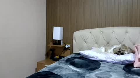 kelly online show from 07.03.26