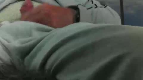 Snapshot of leckfreund53 chatting on 10.03.25 leckfreund53 online show from 10.03.25