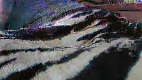 Snapshot of ledmax07 chatting on 04.13.26 ledmax07 online show from 04.13.26