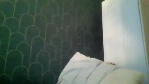 Snapshot of leeuwarder12 chatting on 11.20.25 leeuwarder12 online show from 11.20.25