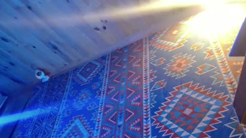 Dliciousman online show from 02.20.25