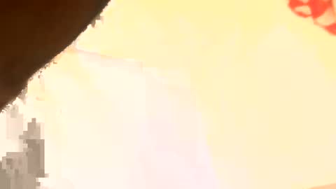 legal4 online show from 03.11.26