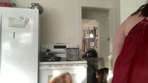 Snapshot of legallybrun91 chatting on 02.19.25 legallybrun91 online show from 02.19.25