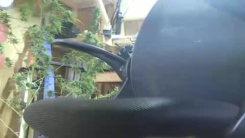 HoleStretcher online show from 09.09.25