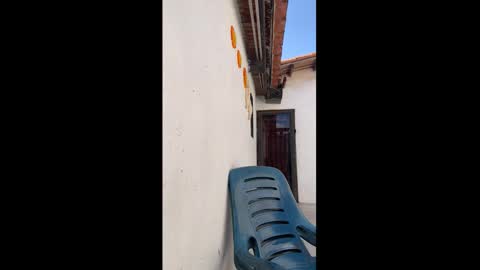 leo_latino1 online show from 03.09.26