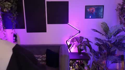 Levity online show from 11.18.25