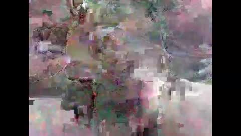 leweylewy online show from 11.13.25