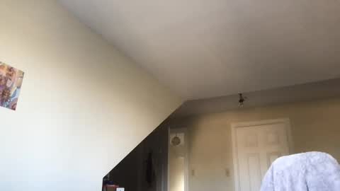 lexie online show from 09.12.25