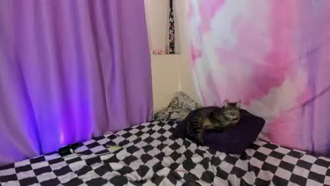 LexxxY online show from 08.01.26