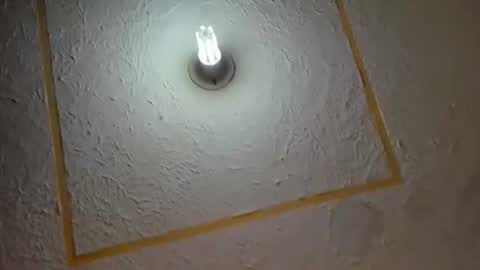 lianfox_ online show from 07.11.26